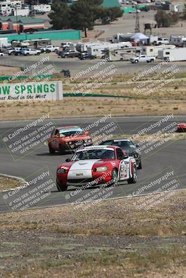 media/May-03-2025-Lucky Dog Racing (Sat) [[206de64b9d]]/Turn 4 A (3pm-4pm)/